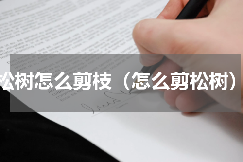 松树怎么剪枝（怎么剪松树）