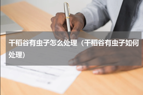 干稻谷有虫子怎么处理（干稻谷有虫子如何处理）