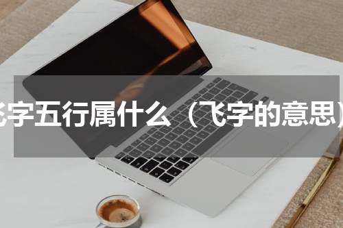 飞字五行属什么（飞字的意思）