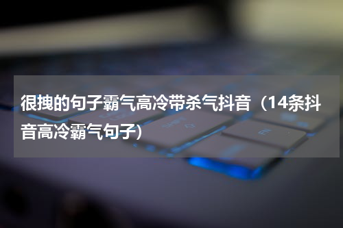 很拽的句子霸气高冷带杀气抖音（14条抖音高冷霸气句子）