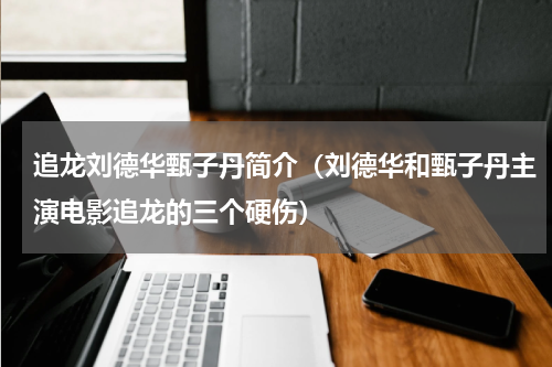 追龙刘德华甄子丹简介（刘德华和甄子丹主演电影追龙的三个硬伤）