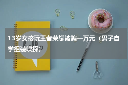 13岁女孩玩王者荣耀被骗一万元（男子自学组装嗅探）