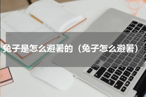 兔子是怎么避暑的（兔子怎么避暑）