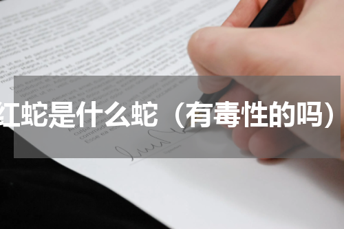 红蛇是什么蛇（有毒性的吗）