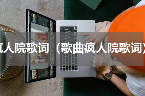 疯人院歌词（歌曲疯人院歌词）