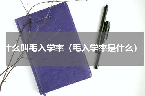 什么叫毛入学率（毛入学率是什么）
