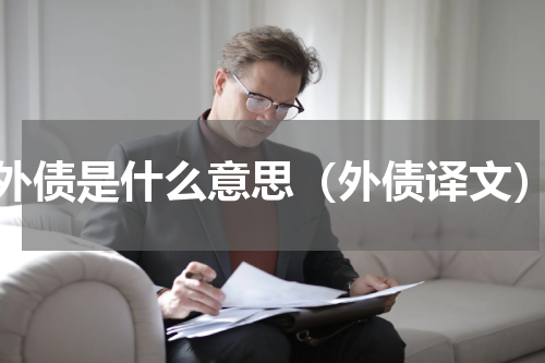 外债是什么意思（外债译文）