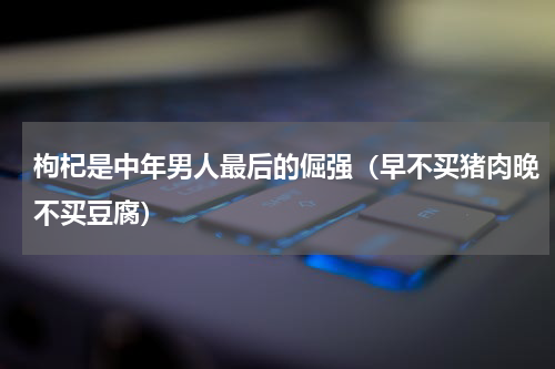 枸杞是中年男人最后的倔强（早不买猪肉晚不买豆腐）