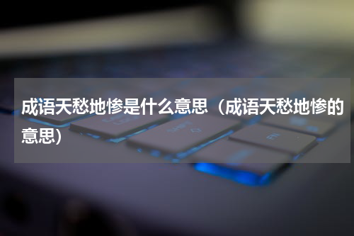 成语天愁地惨是什么意思（成语天愁地惨的意思）