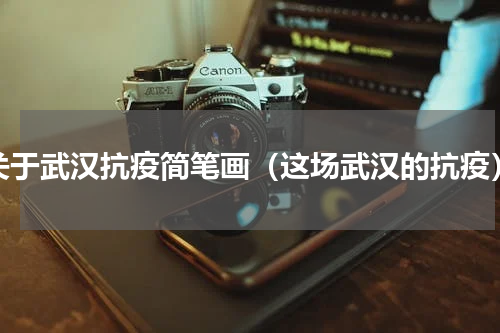 关于武汉抗疫简笔画（这场武汉的抗疫）