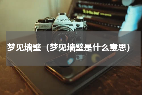 梦见墙壁（梦见墙壁是什么意思）