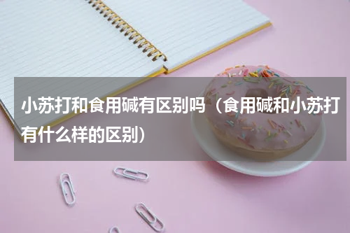 小苏打和食用碱有区别吗（食用碱和小苏打有什么样的区别）