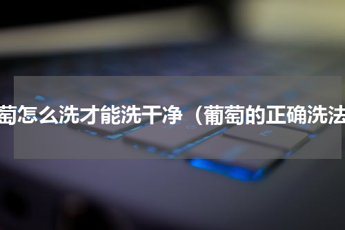 葡萄怎么洗才能洗干净（葡萄的正确洗法）
