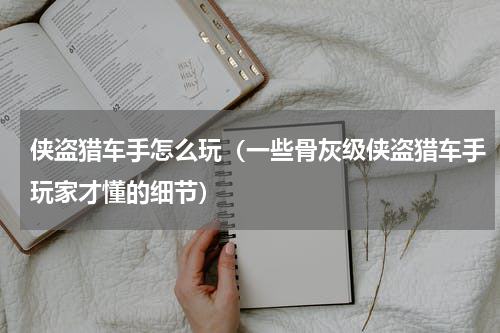 侠盗猎车手怎么玩（一些骨灰级侠盗猎车手玩家才懂的细节）