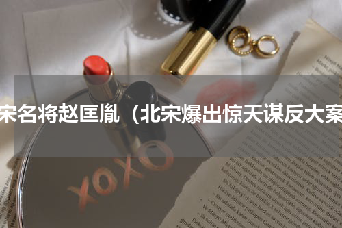 北宋名将赵匡胤（北宋爆出惊天谋反大案）