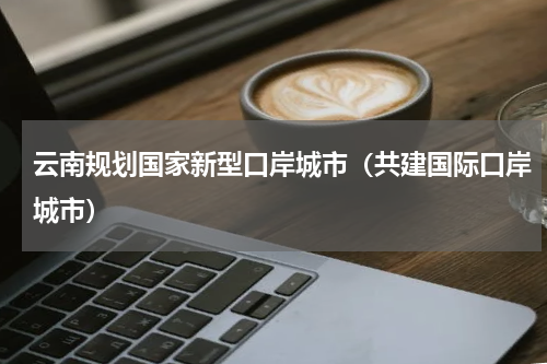 云南规划国家新型口岸城市（共建国际口岸城市）