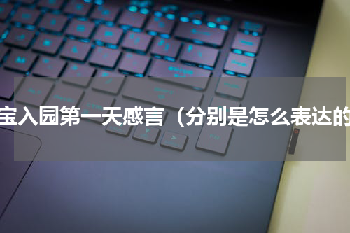 宝宝入园第一天感言（分别是怎么表达的）