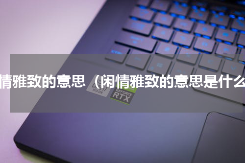 闲情雅致的意思（闲情雅致的意思是什么）