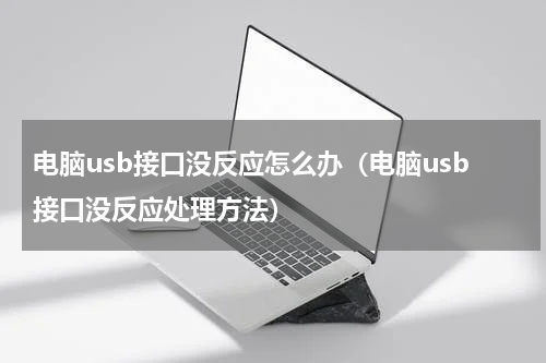 电脑usb接口没反应怎么办（电脑usb接口没反应处理方法）
