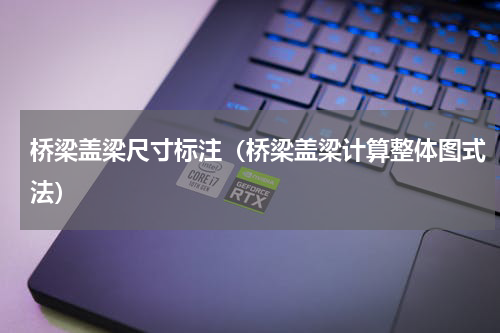 桥梁盖梁尺寸标注（桥梁盖梁计算整体图式法）
