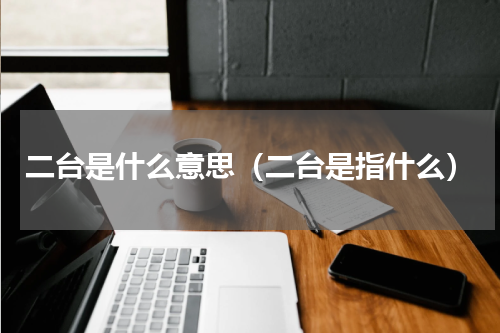 二台是什么意思（二台是指什么）