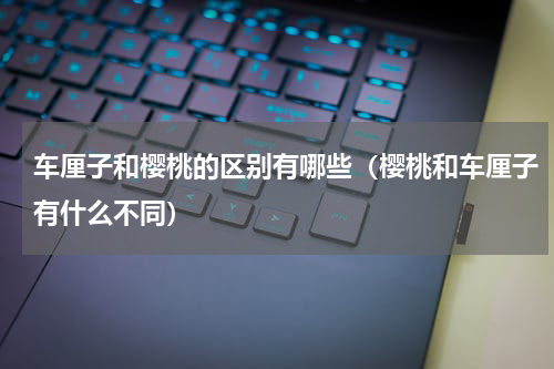 车厘子和樱桃的区别有哪些（樱桃和车厘子有什么不同）