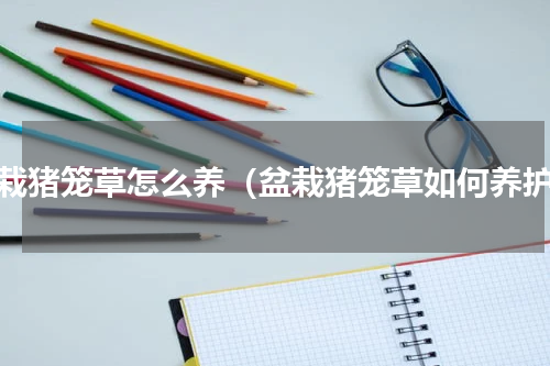 盆栽猪笼草怎么养（盆栽猪笼草如何养护）