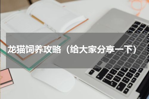 龙猫饲养攻略（给大家分享一下）