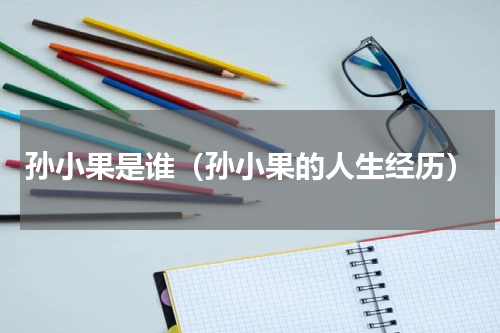 孙小果是谁（孙小果的人生经历）