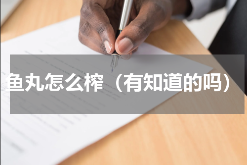 鱼丸怎么榨（有知道的吗）