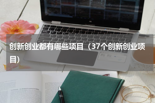 创新创业都有哪些项目（37个创新创业项目）