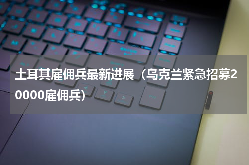 土耳其雇佣兵最新进展（乌克兰紧急招募20000雇佣兵）