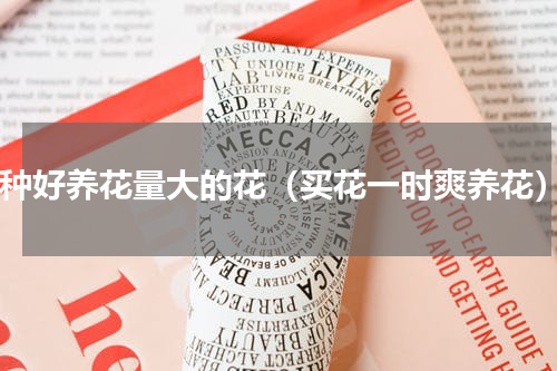 4种好养花量大的花（买花一时爽养花）