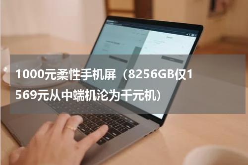 1000元柔性手机屏（8256GB仅1569元从中端机沦为千元机）