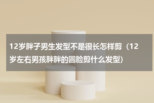 12岁胖子男生发型不是很长怎样剪（12岁左右男孩胖胖的圆脸剪什么发型）