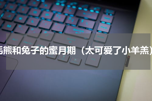 毛熊和兔子的蜜月期（太可爱了小羊羔）