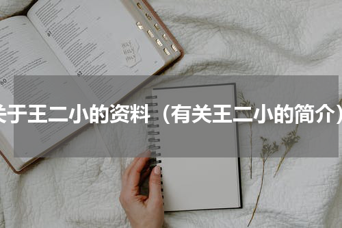 关于王二小的资料（有关王二小的简介）