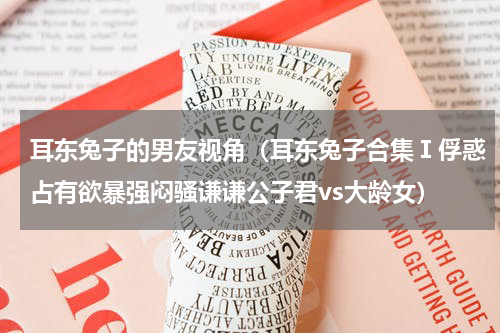 耳东兔子的男友视角（耳东兔子合集Ⅰ俘惑占有欲暴强闷骚谦谦公子君vs大龄女）