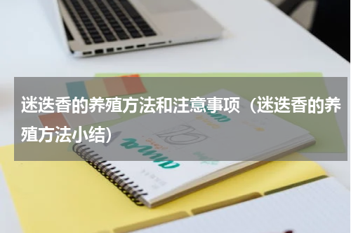 迷迭香的养殖方法和注意事项（迷迭香的养殖方法小结）
