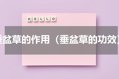 垂盆草的作用（垂盆草的功效）