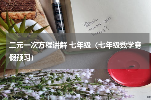 二元一次方程讲解 七年级（七年级数学寒假预习）