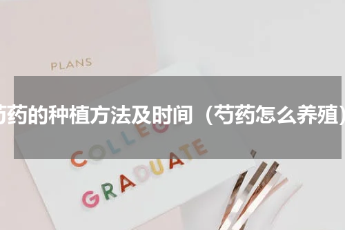 芍药的种植方法及时间（芍药怎么养殖）