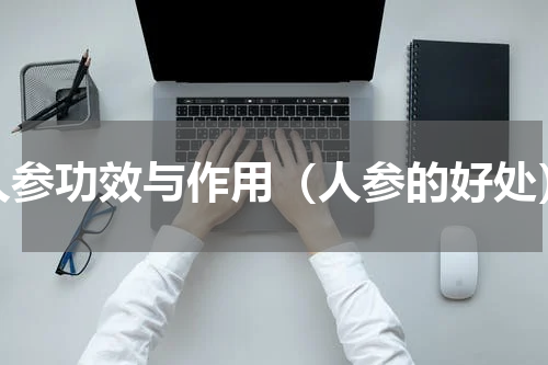 人参功效与作用（人参的好处）