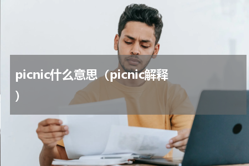 picnic什么意思（picnic解释）