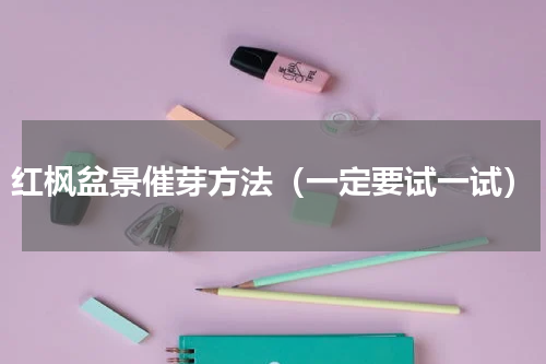 红枫盆景催芽方法（一定要试一试）