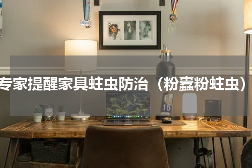 专家提醒家具蛀虫防治（粉蠹粉蛀虫）