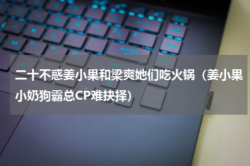 二十不惑姜小果和梁爽她们吃火锅（姜小果小奶狗霸总CP难抉择）