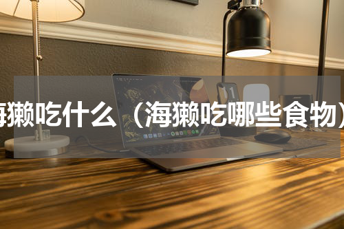 海獭吃什么（海獭吃哪些食物）