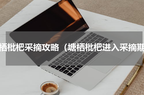 塘栖枇杷采摘攻略（塘栖枇杷进入采摘期）