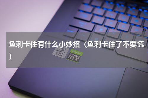 鱼刺卡住有什么小妙招（鱼刺卡住了不要慌）